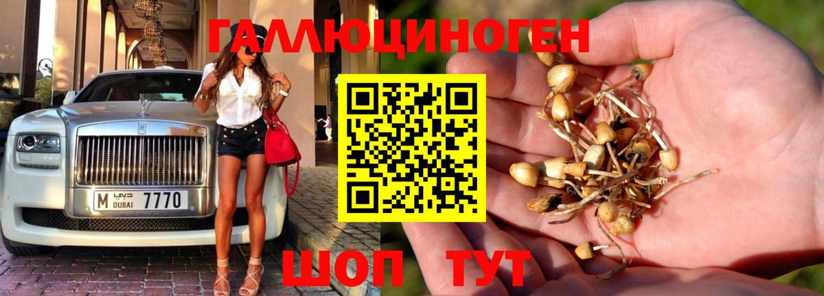 Тосно  Псилоцибиновые грибы Psilocybine cubensis  Галлюциногенные грибы Magic Shrooms  Вход с VPN 