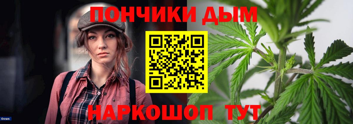Марихуана конопля Тосно